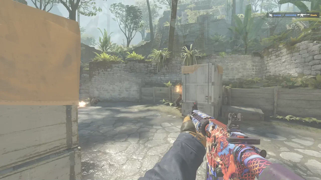 highlight